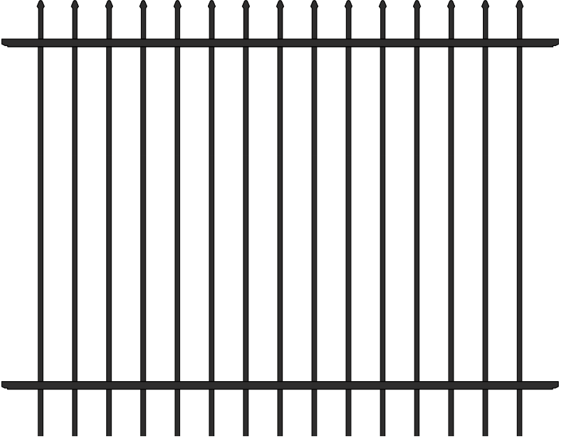 Chandler Commercial 54" Black 2 Rail